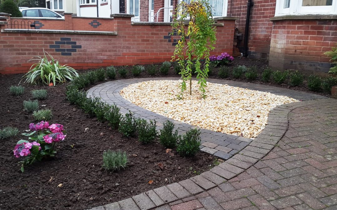 Newly planted small formal front garden