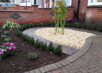 Newly planted small formal front garden