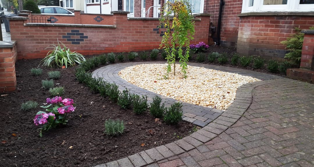 Newly planted small formal front garden