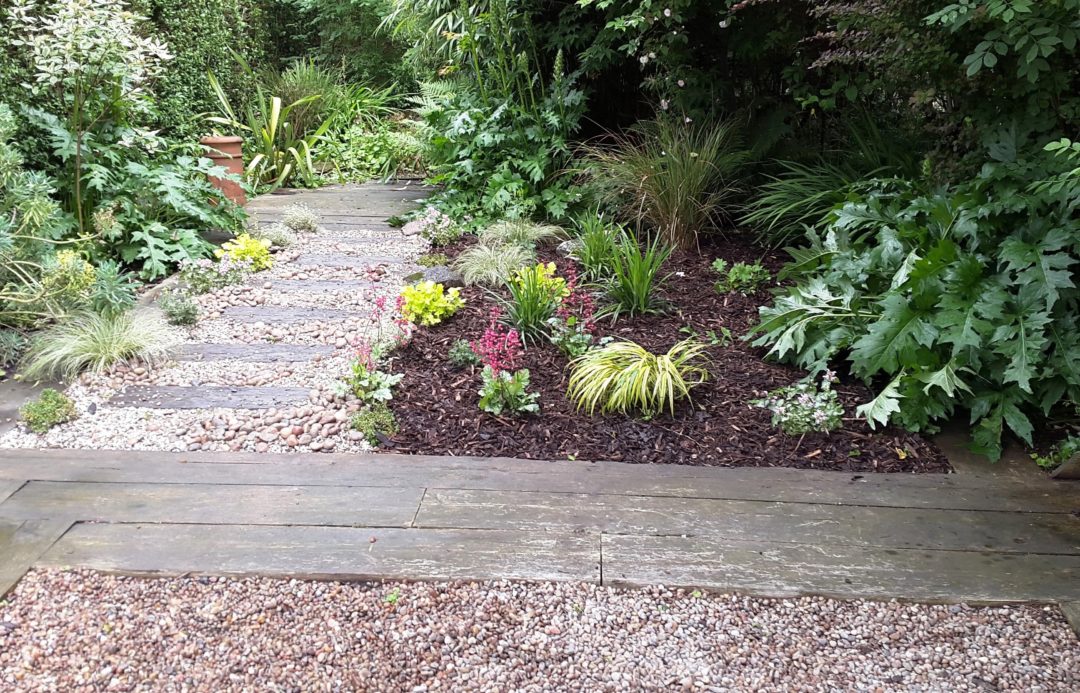 Clarendon park jungle path